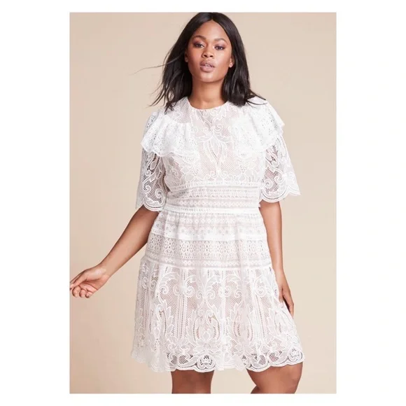 NWOT MONIQUE LHUILLIER Lace Dress; A-Line, Short Sleeves, Jewel Neckline - Picture 2 of 8